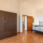 Blanquitos Amazing With 3,000 M2 Of Land Granadilla De Abona