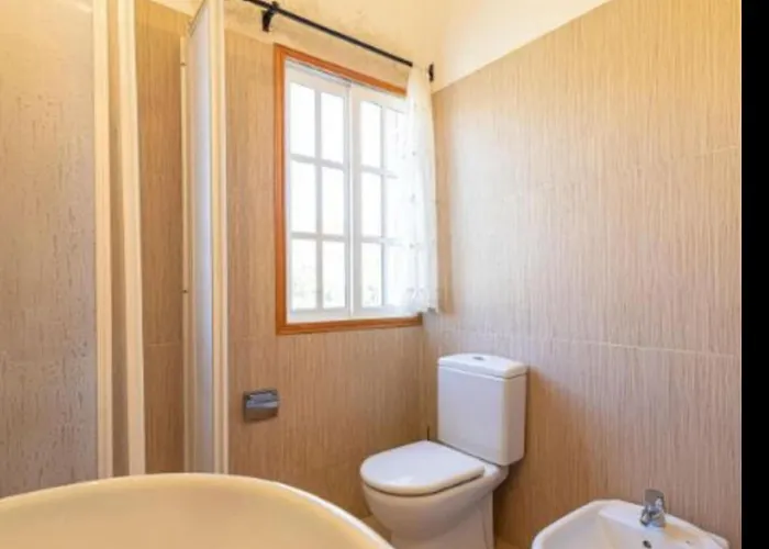 Blanquitos Amazing With 3,000 M2 Of Land Granadilla De Abona